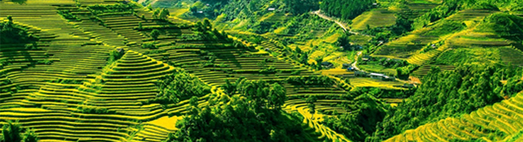 1470801873845316.jpg au_gsjj.jpg